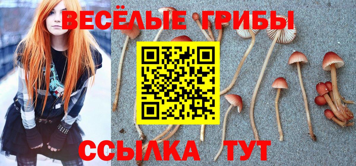Псилоцибиновые грибы мицелий Великий Новгород