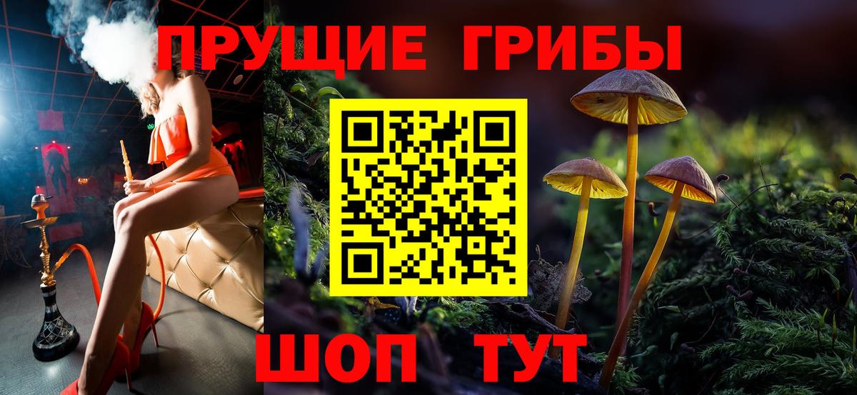 Великий Новгород  Псилоцибиновые грибы прущие грибы  Вход с VPN 