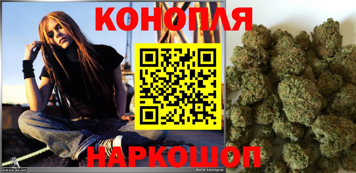 Шишки марихуана план Великий Новгород